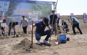 Menko IPK Tanam Bibit Pohon di Ruas Tol Wilayah Sleman