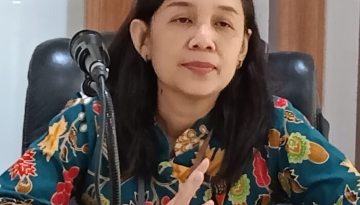 Sepanjang Tahun 2025, Inspektorat Sleman Periksa 238 LHP