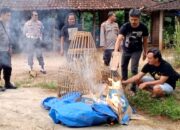 Polisi Bubarkan Tiga Lokasi Sabung Ayam dan Dadu di Ponorogo