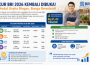 KUR BRI 2026 Dibuka, UMKM Bisa Ajukan Rp500 Juta