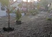 Warga Tanam Pohon Pisang di Jalan Rusak, Protes Keras Lambannya Perbaikan di Pakuniran