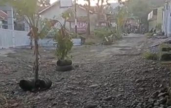 Warga Tanam Pohon Pisang di Jalan Rusak, Protes Keras Lambannya Perbaikan di Pakuniran