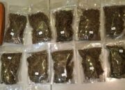 Operasi Senyap Ditresnarkoba Polda Metro Jaya, Pengedar Ganja 6,2 Kg Diringkus di Depok