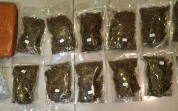 Operasi Senyap Ditresnarkoba Polda Metro Jaya, Pengedar Ganja 6,2 Kg Diringkus di Depok