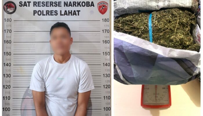 Polres Lahat Gagalkan Peredaran Ganja 1 Kilogram, Tersangka PR Terancam Hukuman Berat