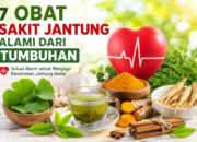 7 Obat Sakit Jantung Alami