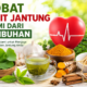 7 Obat Sakit Jantung Alami dari Tumbuhan yang Banyak Dipercaya Masyarakat