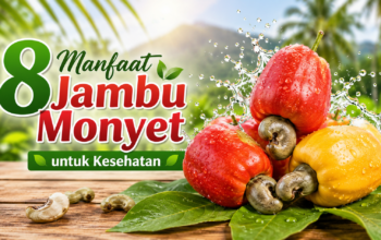 Manfaat Jambu Monyet untuk Kesehatan yang Jarang Diketahui