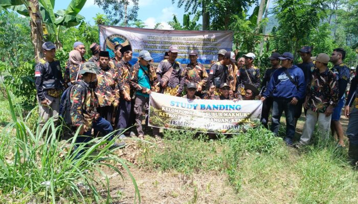 Yayasan Nawasena Garuda Nusantara Resmi Berdiri di Silo Jember, Fokus Pemberdayaan Masyarakat