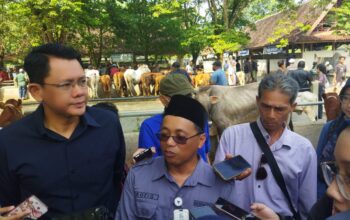 Sleman Kekurangan Ribuan Sapi dan Domba Kurban, Butuh Tambahan dari Luar Daerah