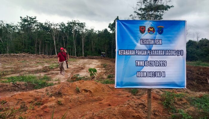 TMMD Ke-128 Kodim 0402/OKI Ubah Lahan Tidur Jadi Kebun Jagung