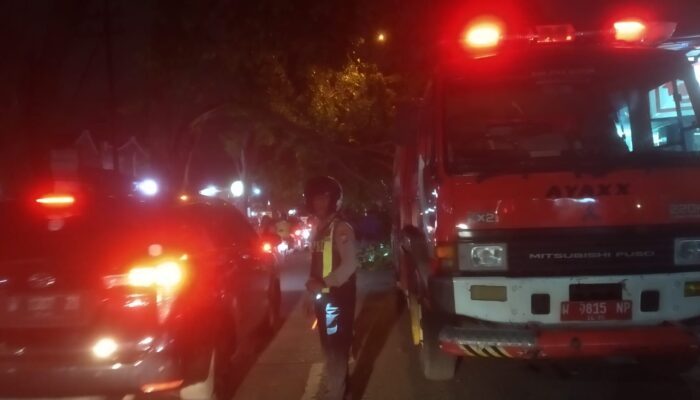 Hotline 110 Bergerak Cepat, Polsek Waru Evakuasi Pohon Tumbang di Kedungrejo