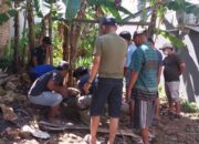 Panitia Pembangunan Masjid Babussalam Mamuju Sembelih Dua Sapi Kurban untuk Warga Kurang Mampu