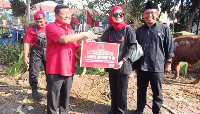 Andreas Eddy Susetyo Tebar 30 Sapi dan 30 Kambing Kurban, Gaungkan Semangat Kebhinekaan di Malang Raya
