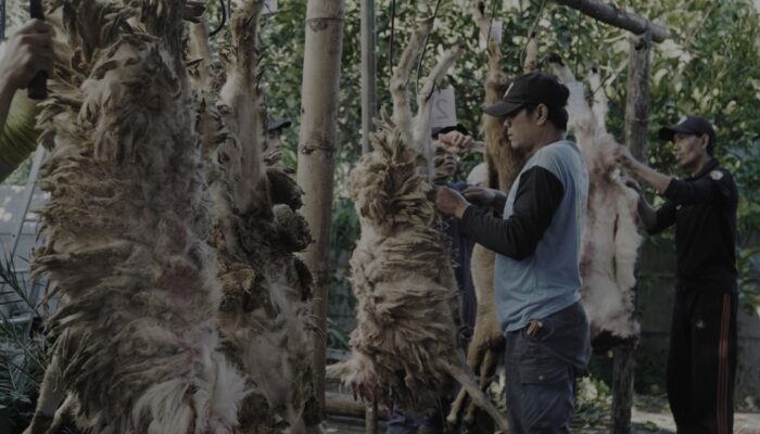 Rumah Sedekah NU Malang Sembelih 22 Hewan Kurban, Ratusan Paket Daging Dibagikan kepada Warga