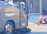 Tragis! Penagih Koperasi Tewas Tergilas Bus Dedy Jaya di Brebes