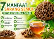 7 Manfaat Sarang Semut untuk Kesehatan Tubuh yang Jarang Diketahui