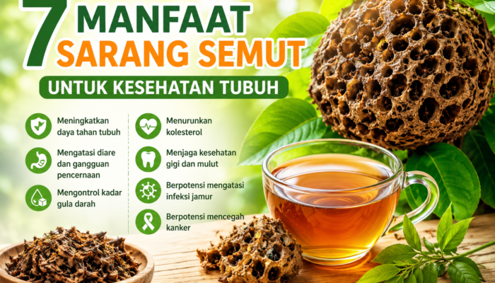 7 Manfaat Sarang Semut untuk Kesehatan Tubuh yang Jarang Diketahui