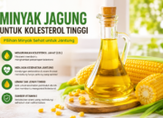 Minyak Jagung untuk Kolesterol Tinggi, Sehat atau Tidak?