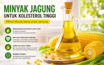 Minyak Jagung untuk Kolesterol Tinggi, Sehat atau Tidak?