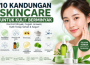 Kandungan Skincare untuk Kulit Berminyak yang Paling Efektif