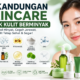 Skincare untuk Kulit Berminyak