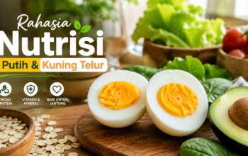 Putih Telur dan Kuning Telur: Mana Lebih Sehat untuk Tubuh?