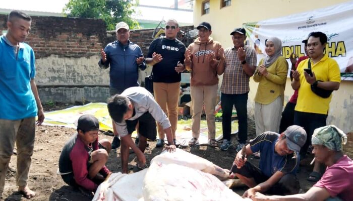 Idul Adha 2026, DPD Golkar Kota Pasuruan Sembelih 4 Ekor Sapi Untuk Internal Kader dan Masyarakat