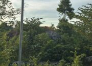 Taman Batu Mamuju Kini Memprihatinkan, Ruang Rekreasi Favorit Warga Mulai Terabaikan