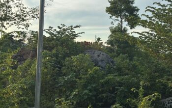 Taman Batu Mamuju Kini Memprihatinkan, Ruang Rekreasi Favorit Warga Mulai Terabaikan