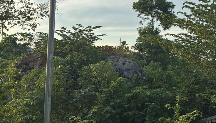 Taman Batu Mamuju Kini Memprihatinkan, Ruang Rekreasi Favorit Warga Mulai Terabaikan