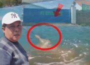 Isu Limbah mengalir ke Laut Banyuglugur Memanas, AZ: PT Fuyuan Tidak Produksi, Diduga dari Green One