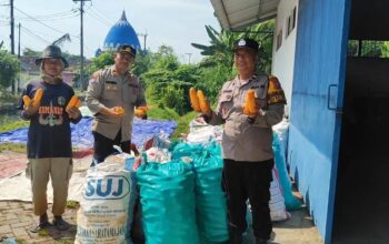 Polsek Tanggulangin Dampingi Gapoktan Randegan Jemur Hasil Panen Jagung untuk Penuhi Standar Kualitas