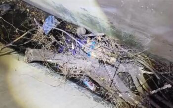 Bidan di Situbondo Ditemukan Meninggal di Saluran Air Pantura, Suami Diduga Jadi Pelaku