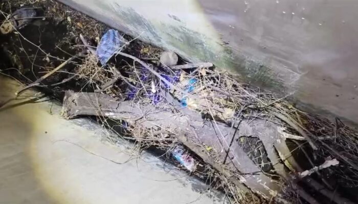 Bidan di Situbondo Ditemukan Meninggal di Saluran Air Pantura, Suami Diduga Jadi Pelaku