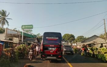 Jalan Raya atau Pasar? Pengguna Jalur Ranuyoso Keluhkan Bahu Jalan Dipenuhi Pedagang