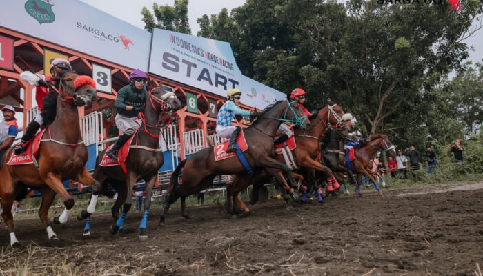 IHR Piala Paku Alam 2026 Hadir di Bantul, 155 Kuda Bersaing Perebutkan Hadiah Rp 600 Juta