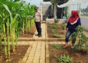 Polisi Turun ke Lahan Jagung Randegan, Dorong Petani Perkuat Swasembada Pangan