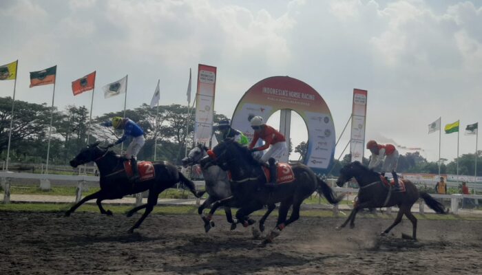 155 Kuda dari 10 Daerah Ramaikan IHR Piala Paku Alam 2026 di Bantul