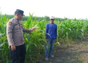 Polisi Turun ke Ladang, Polsek Krembung Dampingi Petani Wujudkan Swasembada Pangan