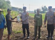 Polsek Candi Bagikan Bibit Jagung Hibrida Perkasa ke Petani, Dukung Swasembada Pangan