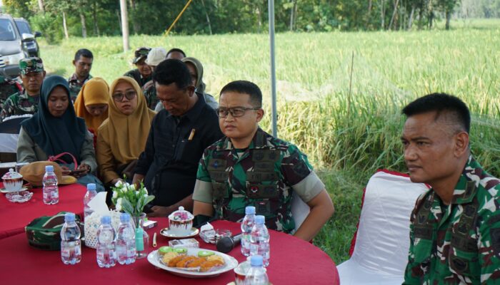 Kodim 0402/OKI Matangkan Persiapan Panen Raya Perdana, Gelar Vicon Serentak di Desa Sindang Sari