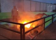 Polsek Candi Sisir Lokasi Dugaan Sabung Ayam di Klurak, Tak Temukan Aktivitas Perjudian