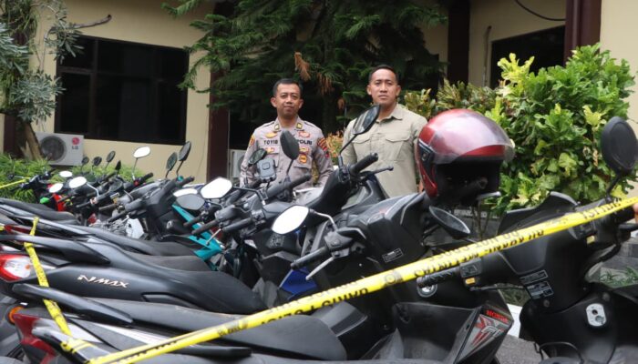 Polisi Bongkar Judi Sabung Ayam di Tempuran Magelang, 3 Orang Ditangkap