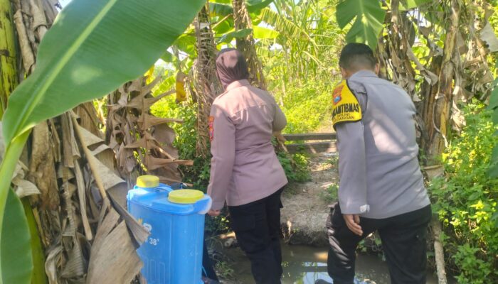 Polsek Gedangan Kawal Pertumbuhan Jagung, Perkuat Ketahanan Pangan Bersama Petani