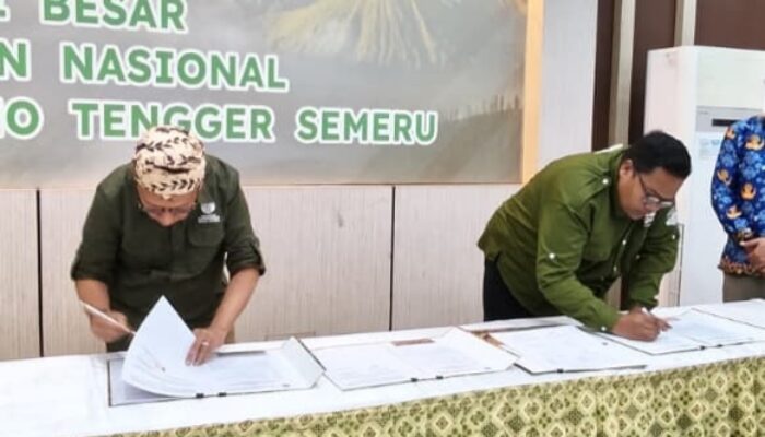 Dikelola The Lawu Group, Jembatan Kaca Bromo Ditargetkan Beroperasi Akhir Juni Sambut Libur Sekolah