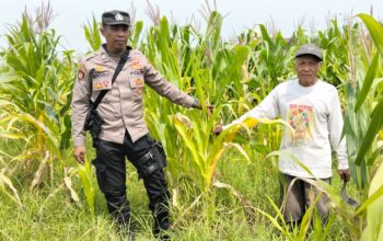 Polsek Tulangan Kawal Ketahanan Pangan