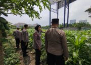 Polsek Waru Intensif Pantau Lahan Jagung Desa Bungurasih, Dukung Program Ketahanan Pangan Nasional
