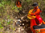 Mbah Kasemo Ditemukan Meninggal Setelah 7 Hari Dicari di Hutan Selorejo