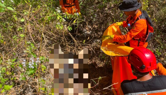 Mbah Kasemo Ditemukan Meninggal Setelah 7 Hari Dicari di Hutan Selorejo